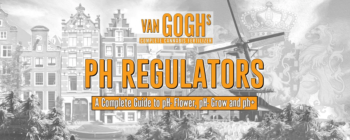 Complete Guide to pH regulators