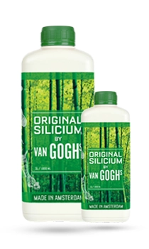 Van Goghs Silica